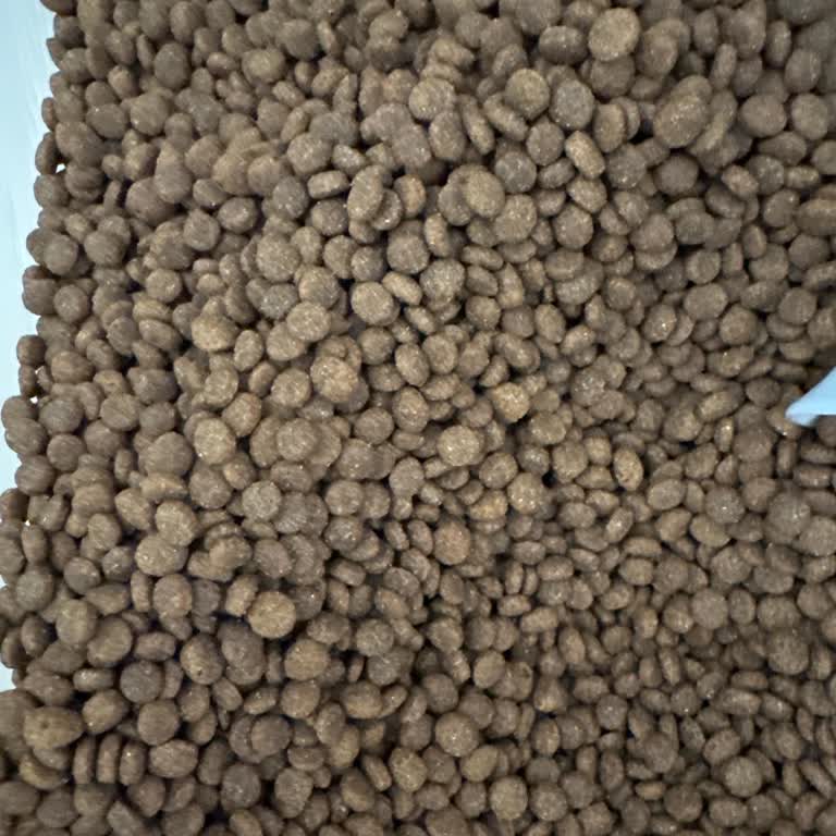 Royal Canin Kedi Mamasında Beklenmedik Renk, Şekil Ve Koku Sorunu