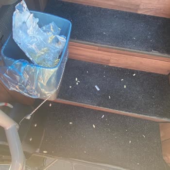 Uludağ Otobüsünde Sorumsuz Şoför Ve Muavin Deneyimi