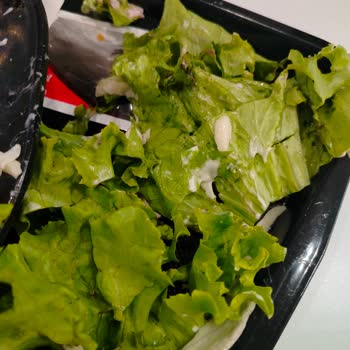 Towuk Bozuk Kıvırcıklar ve Yapılan Saygısızlık