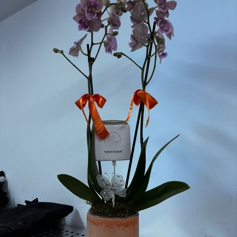 Siparişimde Yanlış Renk Çiçek Gönderildi Değişim Yapılmadı