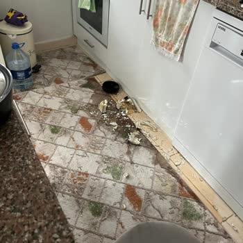 Tupperware Termosun Patlaması Sonucu Yaşanan Yanık Ve Hayal Kırıklığı