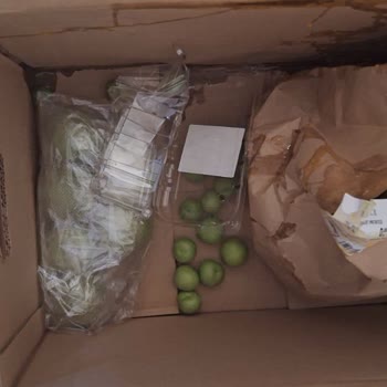 Tazedirekt Kırık Yumurtalar Ve Sorumsuz İade Süreciyle Hayal Kırıklığı