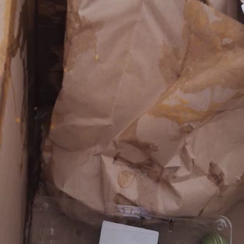 Tazedirekt Kırık Yumurtalar Ve Sorumsuz İade Süreciyle Hayal Kırıklığı