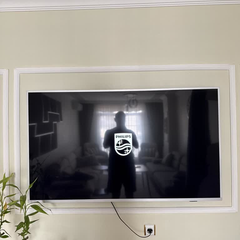 Philips TV Yazılım Güncellemesi Sonrası Cihaz Kullanılamaz Hale Geldi
