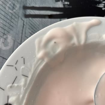 Protein Tozunda Sinek Çıkması Markaya Güvenimi Sarstı