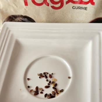 Yayla Keten Tohumunda Taş Ve Yabancı Madde Sorunu, Sağlığım Tehlikeye Girdi