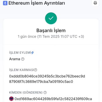 Ethereum Transferim Hesabıma Ulaşmadı, Acil Çözüm Bekliyorum