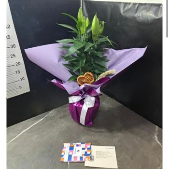 Sipariş Edilen Ürün Beklenenden Farklı Ve Müşteri Hizmeti Yetersiz