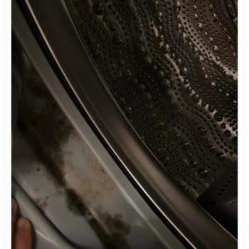 Bosch Çamaşır Makinesi Kapak Lastiği Temizlenmiyor, Kötü Koku Ve Kir Sorunu