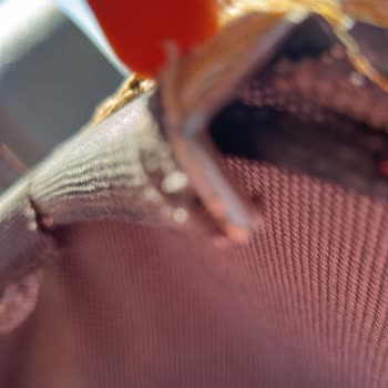 Buzlu Turizm Yırtık Koltuklar Ve İlgisiz Personel Yolculuğu Kabusa Çevirdi!