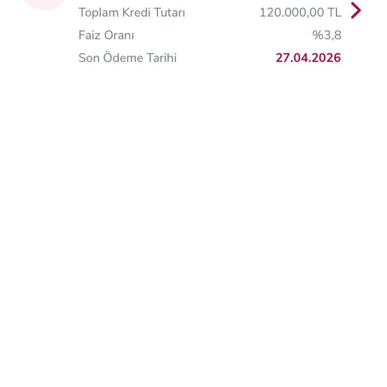 Alternatif Bankta Erken Kredi Kapatma Sorunu Ve Yetersiz Destek