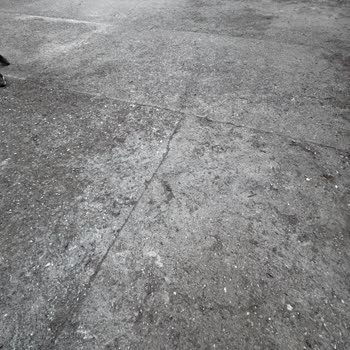 Basketbol Sahası Zemini Eksikliği Hakkında Şikayet