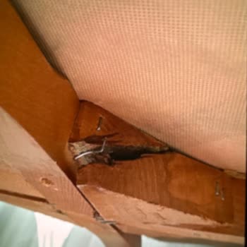 Home Market Koltuk Takımı Kurulumunda Ve Servisinde Yaşanan Sorunlar