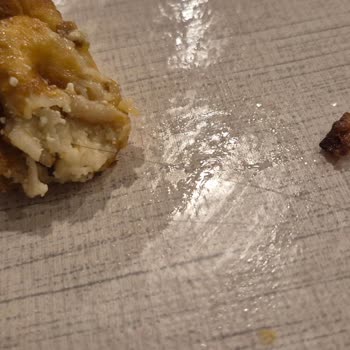 Tamköy Sigara Böreğinden Kıl Çıktı