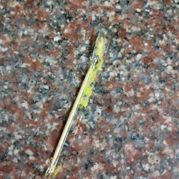 Bizim Döner Gümbet Dönerin İçinden Kürdan Çıktı