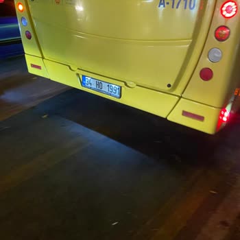 Küçük Köpeğimle Otobüse Alınmadım: Haksız Uygulama