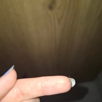 Saç Ve Kaş Dökülmesine Sebep Olan Boya