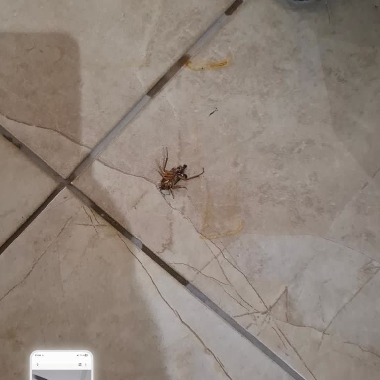 Otelinizde Temizlik Ve Servis Sorunları Ailemle Kötü Bir Deneyim Yaşadık