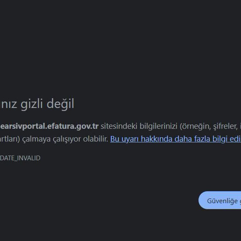 E-Arşiv Portalına Giriş Sorunu Ve Güvenlik Endişesi