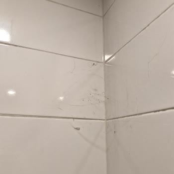 Total İstasyonunda Kadın Tuvaletlerinde Ciddi Hijyen Sorunu Yaşanıyor