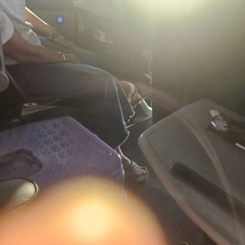 Otobüste Köpek Nedeniyle Yaşanan Hijyen Ve Huzursuzluk Sorunu