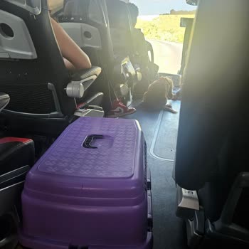 Otobüste Köpek Nedeniyle Yaşanan Hijyen Ve Huzursuzluk Sorunu