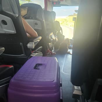 Otobüste Köpek Nedeniyle Yaşanan Hijyen Ve Huzursuzluk Sorunu