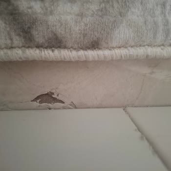 Yeni Aldığımız Evde Yaşadığımız Ciddi Sorunlar