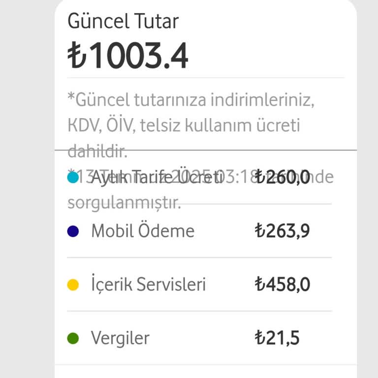 Onayım Olmadan İçerik Servislerinden Yüksek Fatura Kesildi