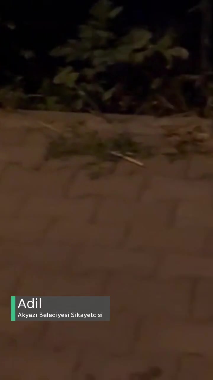 Akyazı Belediyesi Gürültü Sorunu videonun kapak resmi