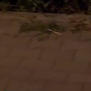 Akyazı Belediyesi Gürültü Sorunu