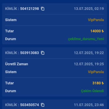 Pisabet'te 14.000 TL Ödeme Gecikmesi Ve Sürekli Mazeretler