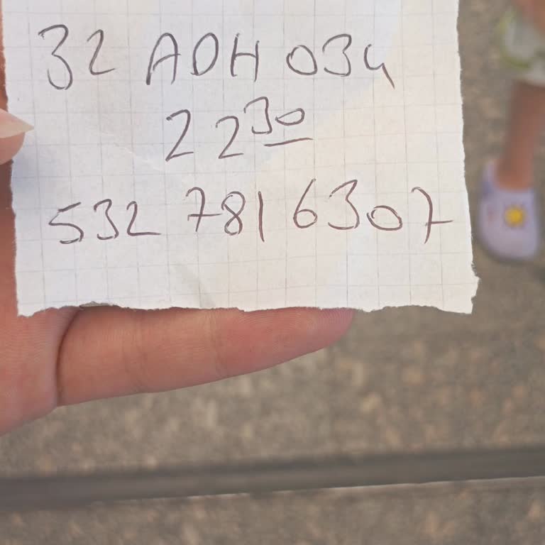 Yanlış Bilgi Ve Mağduriyet: Hayvan Taşımasında Büyük Sorun
