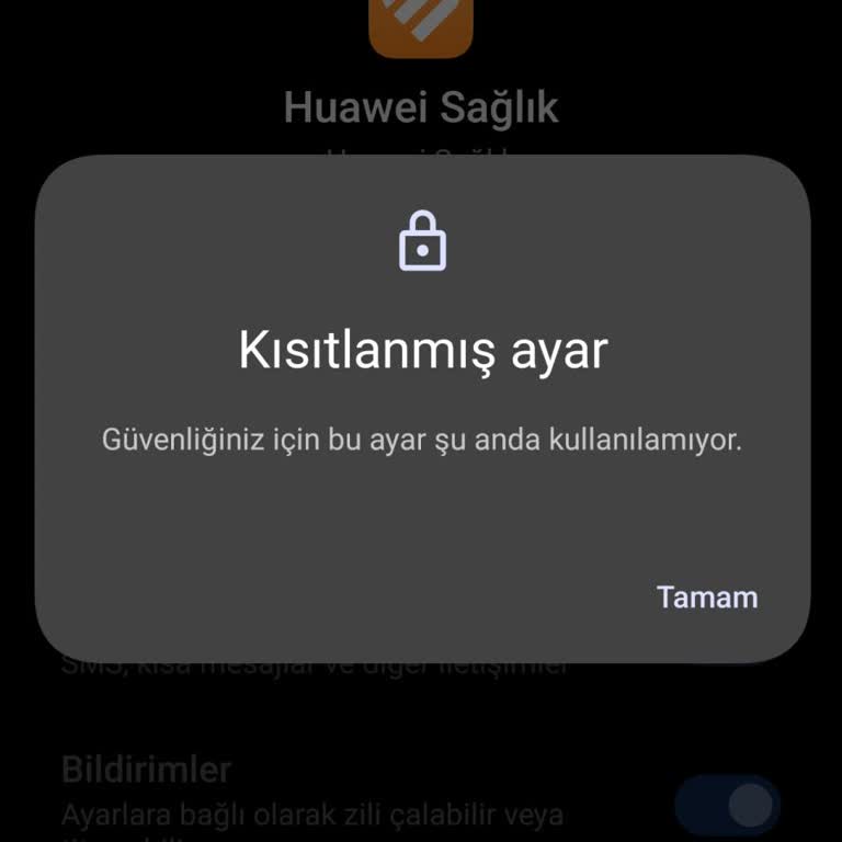 Bildirim Sorunu Nedeniyle Telefon Kullanımında Aksaklık