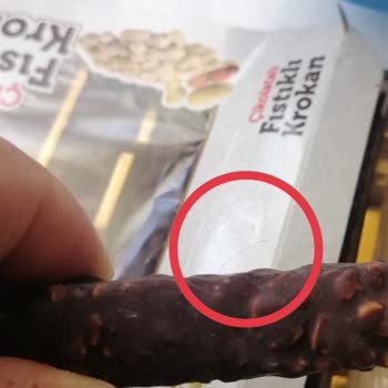 Krokan Ürününde Kıl Çıkmasına Ve İlgisizliğe Tepki