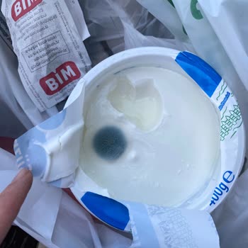 Son Kullanma Tarihi Geçmemiş Sek Süzme Yoğurtta Küf Şoku