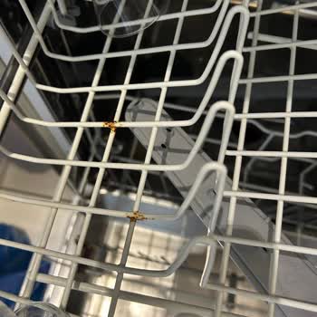 Arçelik 6233 Bulaşık Makinesi Sepetlerinde Paslanma Ve Değişim Talebi