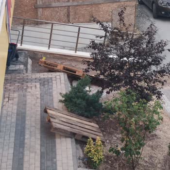 Şok Market Şubesi Nedeniyle Apartmanda Sürekli Temizlik Ve Gürültü Sorunu