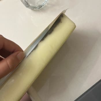 Taze Aldığım Üründe Küf Şoku: Torku Güvenimizi Sarsıyor