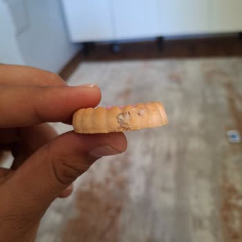 Eti Cin Ürününde Şüpheli Madde: Çocuğumun Sağlığı Tehlikeye Girdi