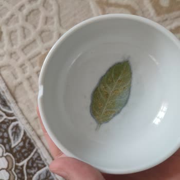 Kırık Gelen Kahvaltı Takımı Ve İade Sürecinde Yaşanan Sorun