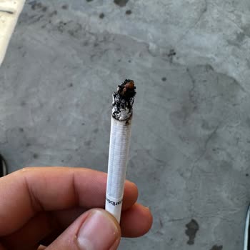 Sigara İçinde Kurt Çıkması Şoku