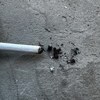 Sigara İçinde Kurt Çıkması Şoku