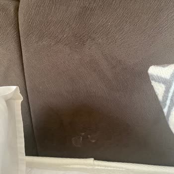 Hayal Kırıklığı Ve Hijyen Sorunlarıyla Dolu Bir Tatil Deneyimi