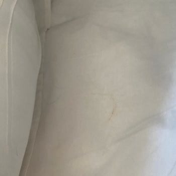 Smart Holiday Bodrum'da Hijyen Ve Hizmet Sorunları Tatilimizi Mahvetti