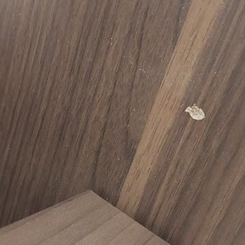 Teslimat Gecikmesi, Kusurlu Ürün Ve Mağaza Yetkilisinin Olumsuz Davranışı