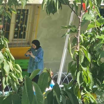 Anaokulunda Bitmeyen Gürültü Ve Yetersiz Eğitim