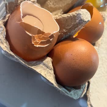Migros Organik Yumurtalarda Kırık Ve Çürük Sorunu, Kafes Sistemi Tepkisi