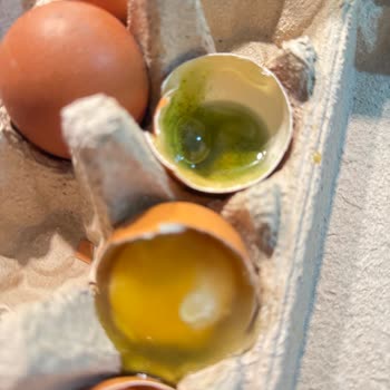 Migros Organik Yumurtalarda Kırık Ve Çürük Sorunu, Kafes Sistemi Tepkisi