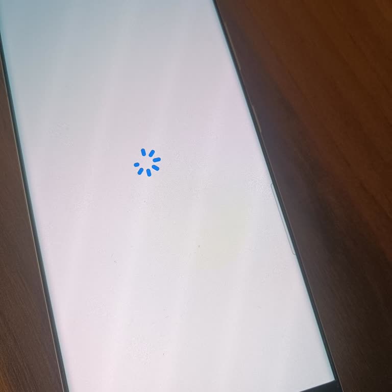 Kimlik Doğrulamada Canlılık Kontrolü Ve Ekran Kaydı Sorunu Yaşıyorum